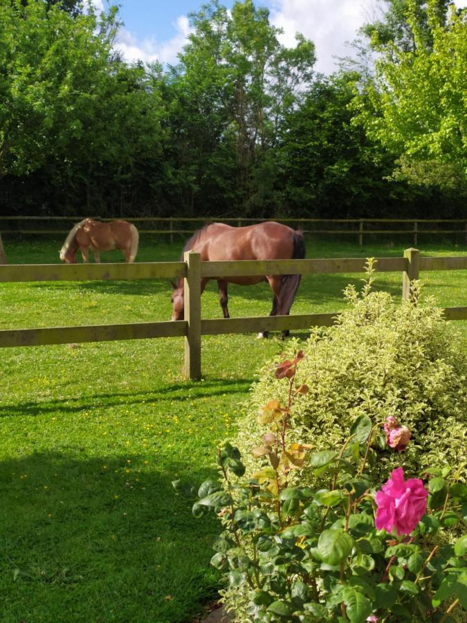 Bed and Breakfast Le Clos Marie Sausseuzemare-en-Caux Екстер'єр фото